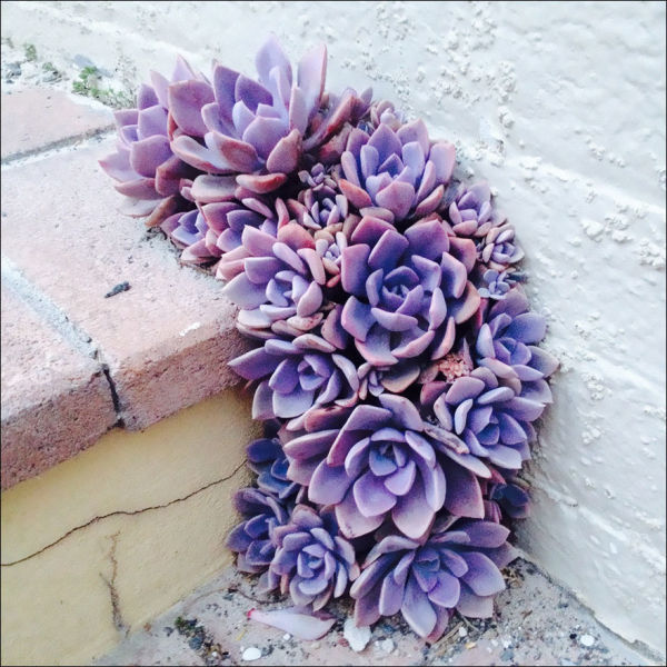 01 (16)