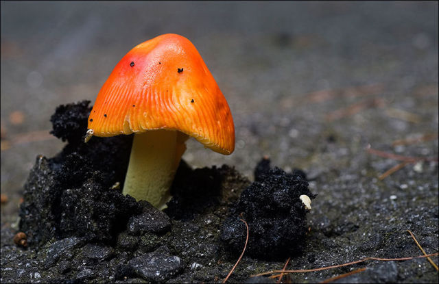 01 (19)