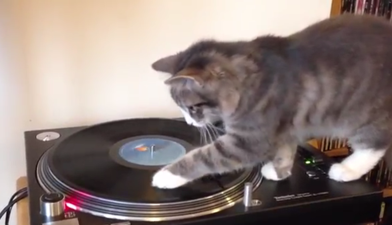 DJネコ
