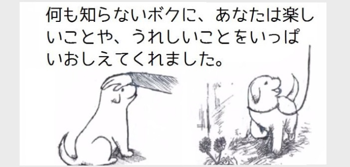 涙が止まらない ある犬のおはなし という絵本に込められた願い Buzzmag 涙が止まらない ある犬のおはなし という絵本に込められた願い Buzzmag