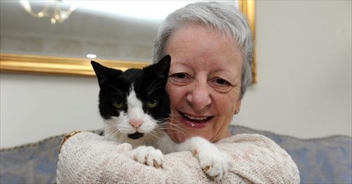 猫 ページ 114 BUZZmag