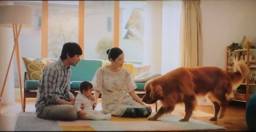 犬 ページ 85 Buzzmag