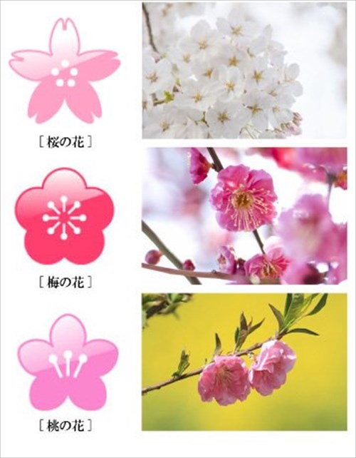 これで完璧 桜 梅 桃の 見分け方 を表した4枚の画像がわかりやすい Buzzmag