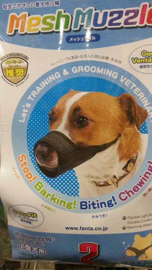 犬用の 噛みつき防止マスク の装着見本を見たら パグだけ完全に様子がおかしい 笑 Buzzmag