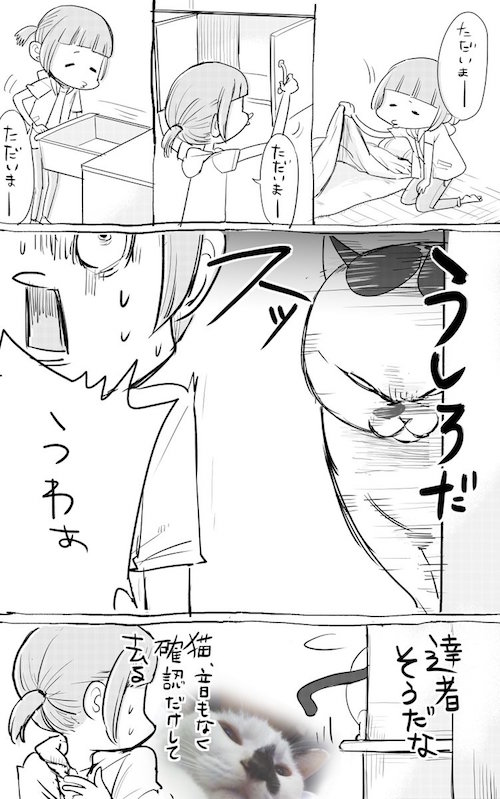 犬と猫では、「3日ぶりに帰ってきた時の出迎え方」が全く違う(笑) 2枚 BUZZmag