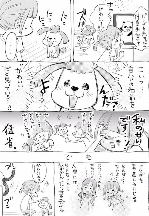 犬と猫 それぞれに 可愛い と伝えたときの反応は やっぱブレない 笑 Buzzmag