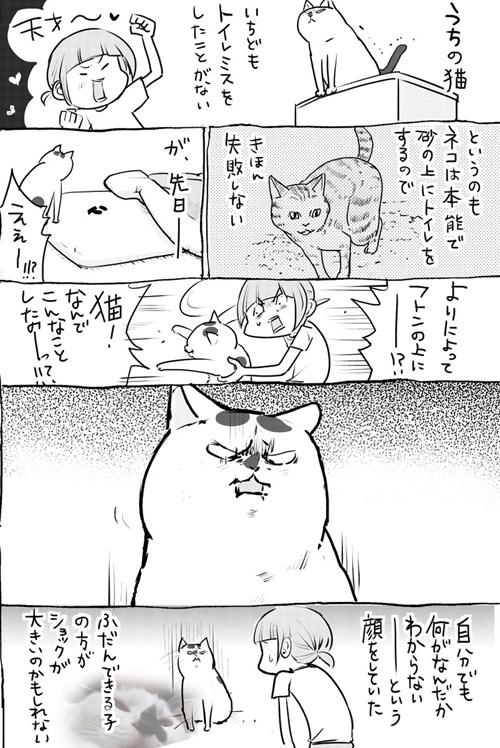 漫画】『トイレで失敗』しちゃった時も、犬と猫は正反対のリアクション 