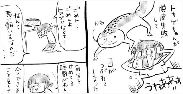 漫画 命の危険に繋がることも ペットのトカゲが 脱皮不全 を起こした時の話 Buzzmag