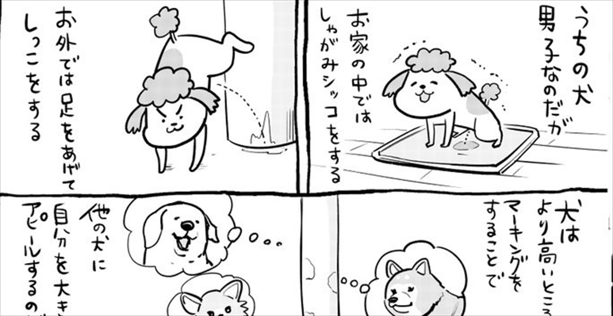 漫画 犬と猫では トイレのミスり方 にも違いがある 3枚 Buzzmag