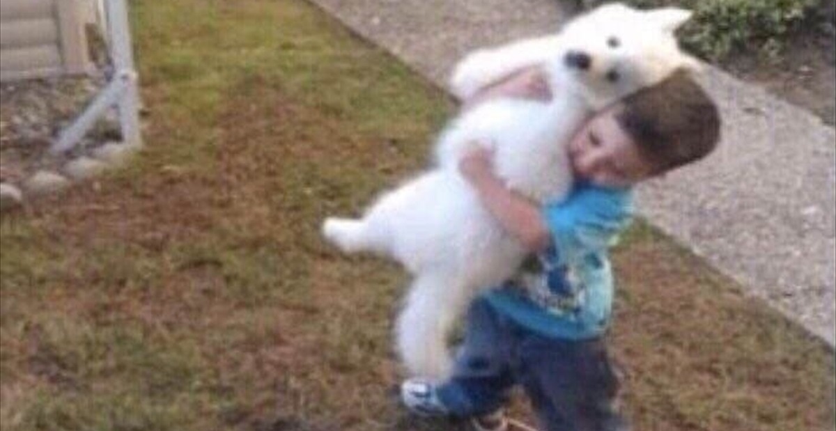 犬を抱く少年の写真 数年後 変わらなかったのは友情だけではなく Buzzmag