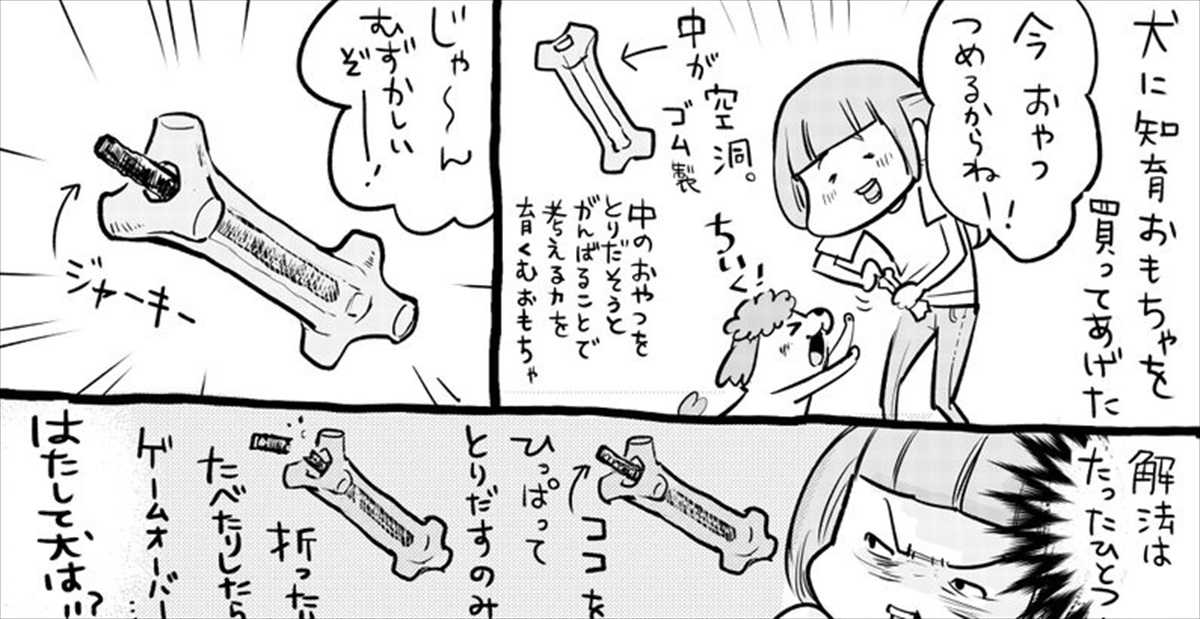 漫画 犬と猫に 新しいオモチャ をあげた結果 喜びも 悲しみも生まれた Buzzmag