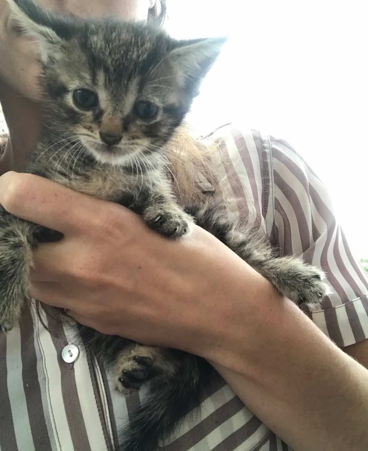 引っ越して初めて 男性は 新居に 可愛いルームメイト がいることを知った Buzzmag