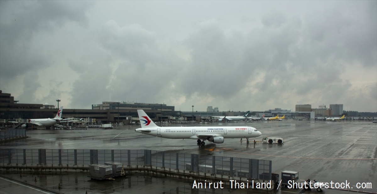 台風で飛行機が欠航した結果 お客様とのやり取りがアホすぎた Buzzmag