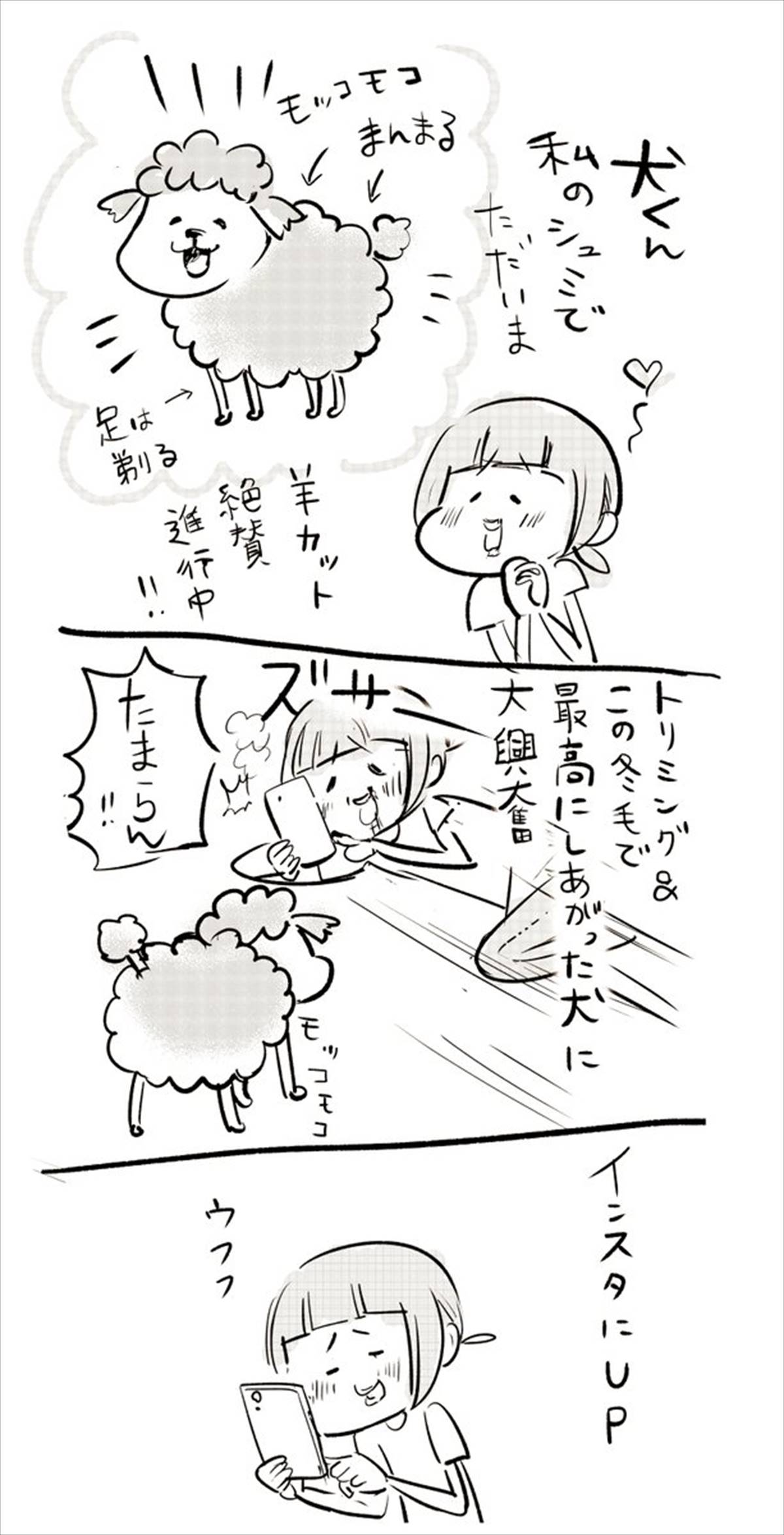 松本ひで吉 とっても可愛くトリミングして貰った飼い犬の写真を 犬好きの友人 に見せた結果 Buzzmag