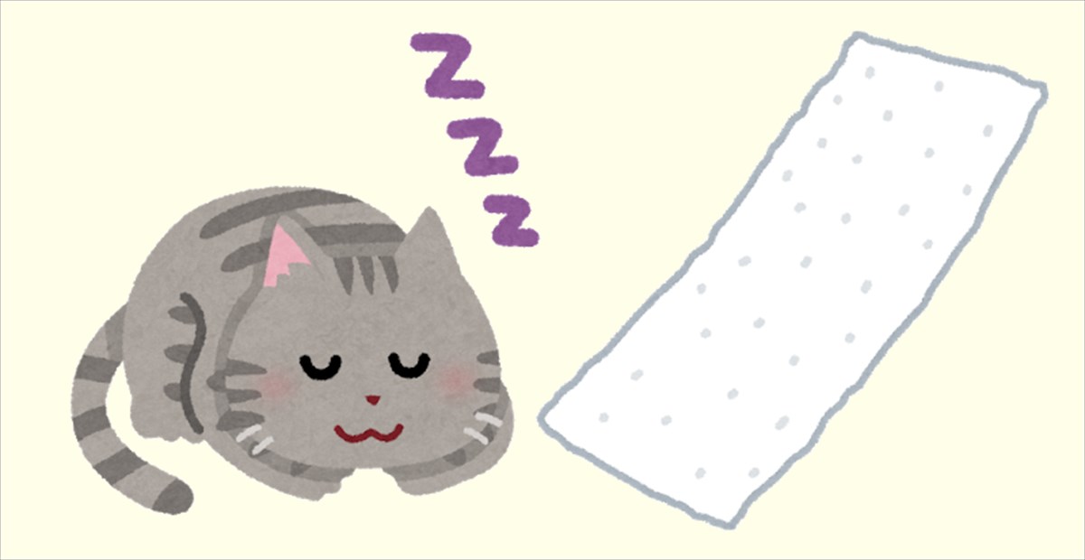 子猫 まるで人間の赤ちゃんみたい タオルにくるまれてスヤスヤ眠る子猫の寝顔が 可愛すぎて胸キュン Buzzmag