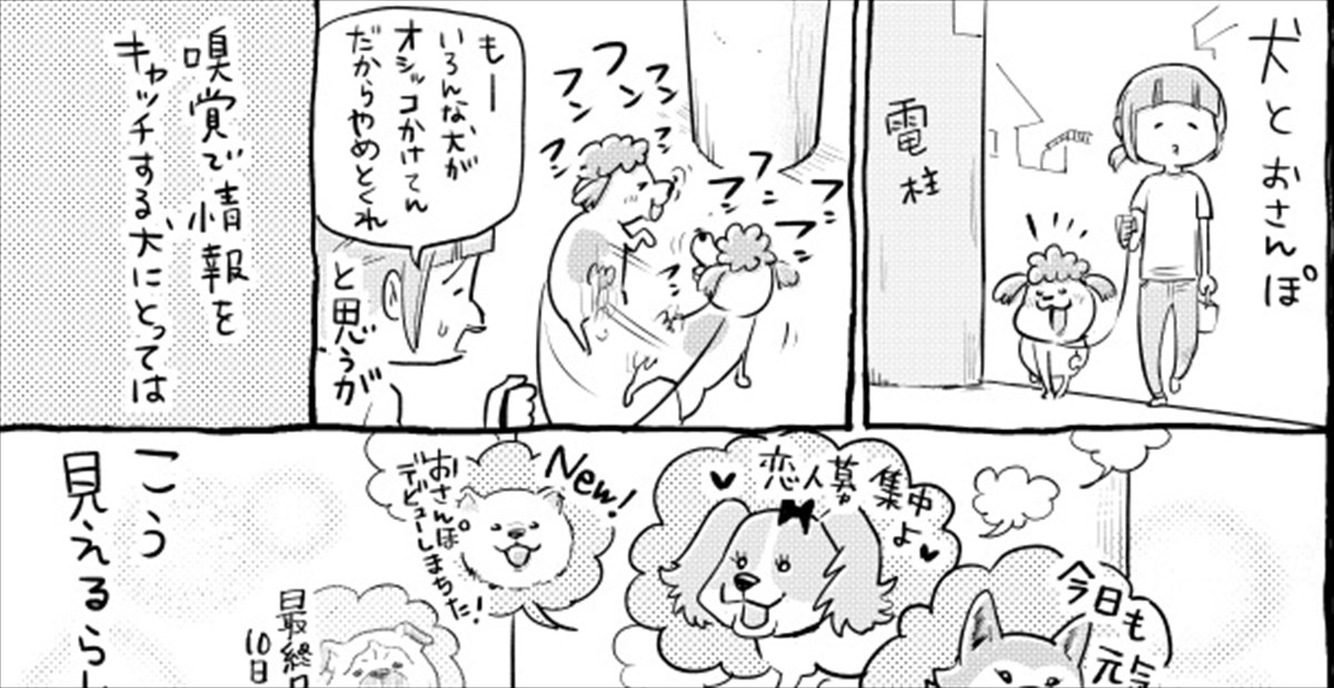 松本ひで吉 マーキングで見栄を張る犬と ダサいところを認めたくない猫 どちらもカッコつけていて 可愛い Buzzmag