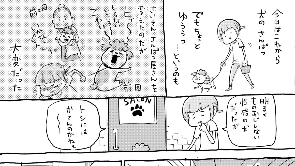 松本ひで吉 初めての散髪屋に戸惑うも 驚くべきスピードで慣れた犬 対する猫は もう少し警戒心が強いけど Buzzmag