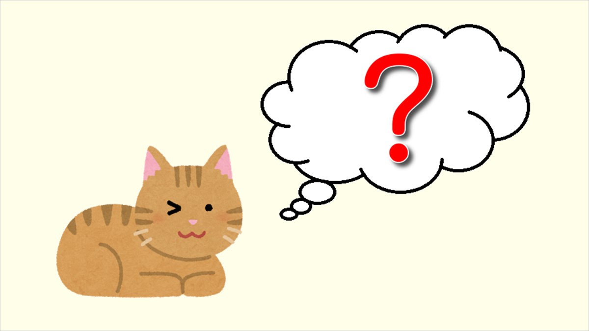 飼い主のもとへ よーく見とけよ とアピールしに来た子猫 その直後に これは反則級の可愛さ Buzzmag