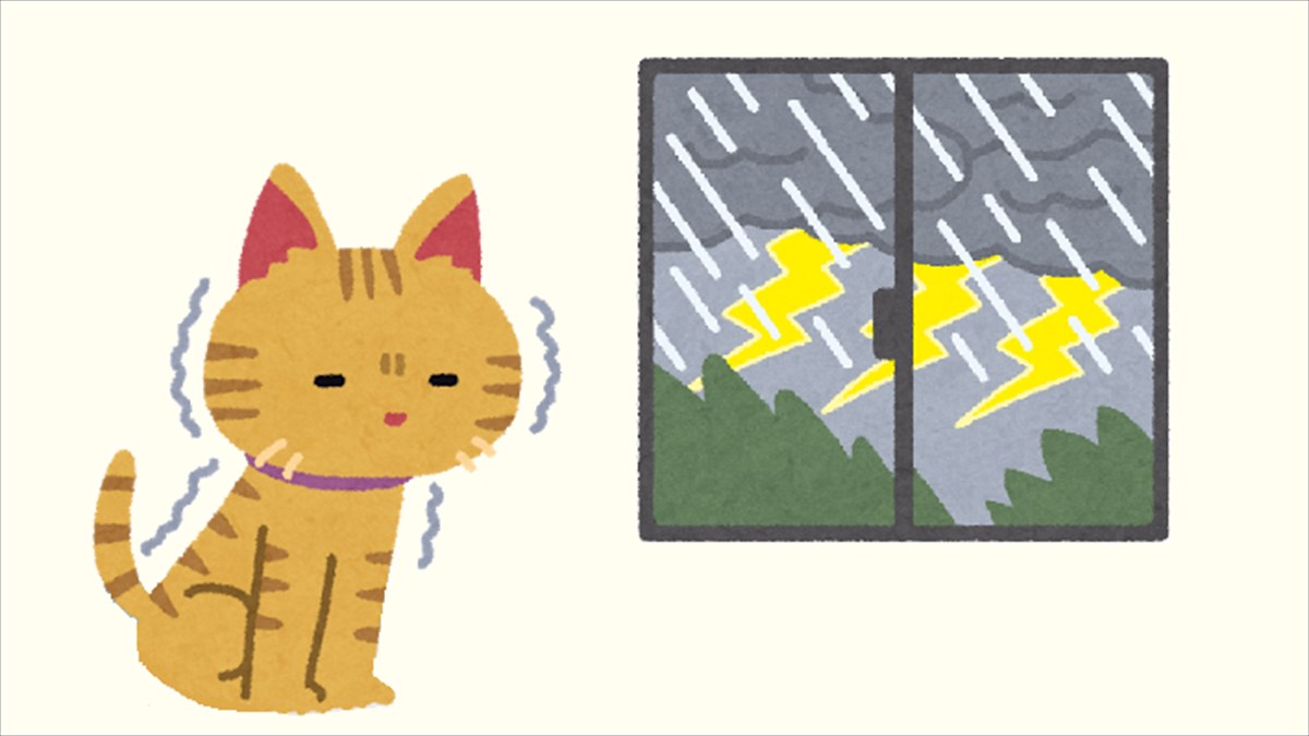 ともに暮らす愛猫が はげしい雨と雷に驚いた結果 別の生き物 みたくなってしまった Buzzmag