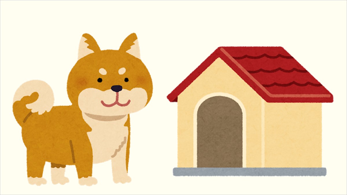 飼い主が 柴犬に ふかふかクッションの家 をプレゼントした結果 ど どうしてこうなった Buzzmag 飼い主が 柴犬に ふかふかクッションの家 をプレゼントした結果 ど どうしてこうなった Buzzmag