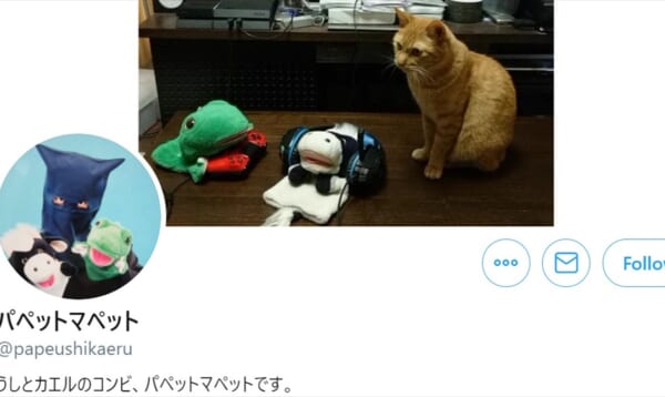 パペットマペットが 自身の誕生日 を報告 気になる年齢はなんと Buzzmag