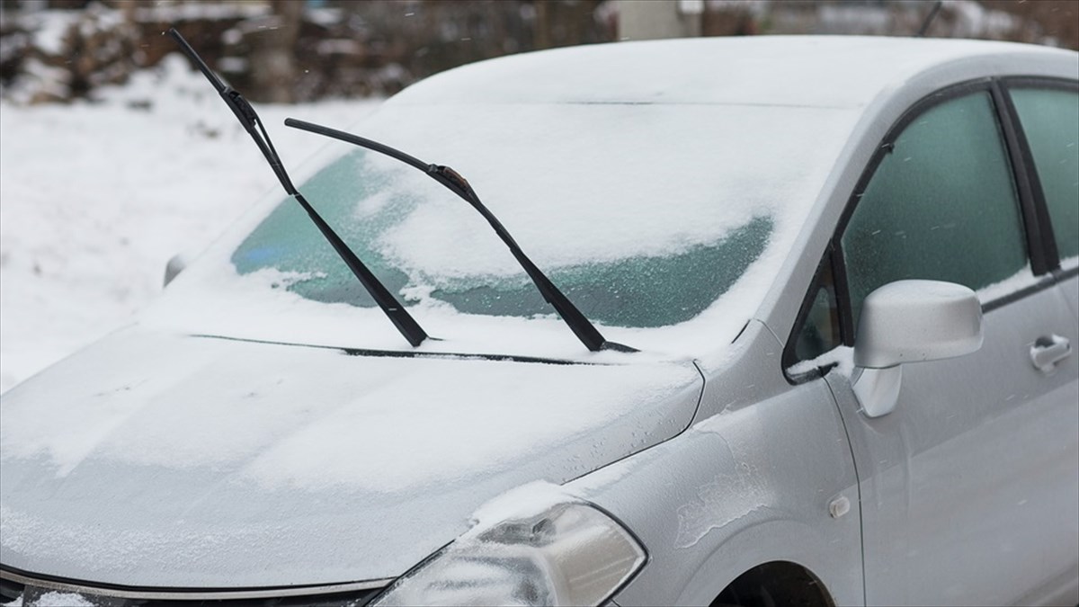 雪が積もらぬよう 車の ワイパー を立てていたら まさかの光景に Buzzmag