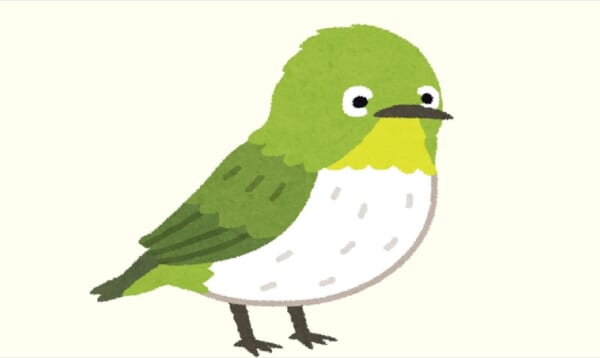 歩道の上にチョコンとたたずむ メジロのヒナ を発見 思わず近づいてみたら 可愛すぎた Buzzmag