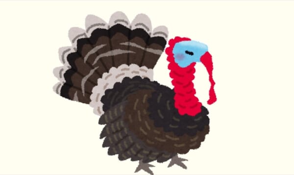 英語では トルコ の意味を持つ 七面鳥 しかし トルコ語では Buzzmag